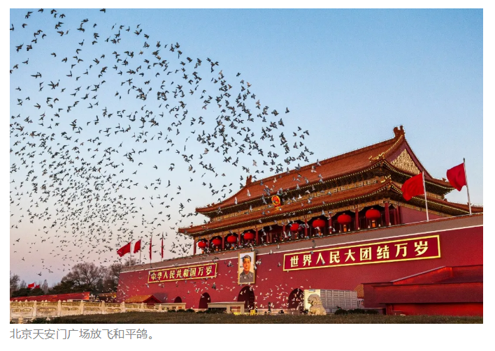 yl6809永利(集团)有限公司官网